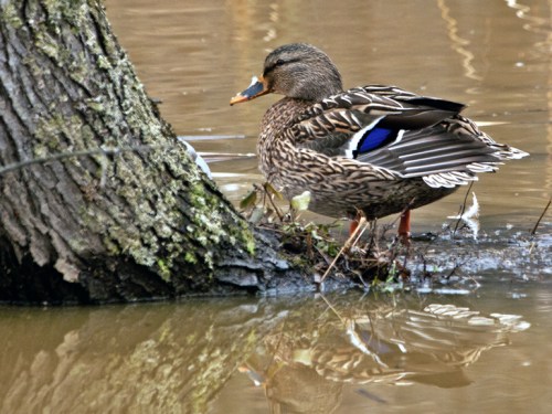 Ready for my profile shot