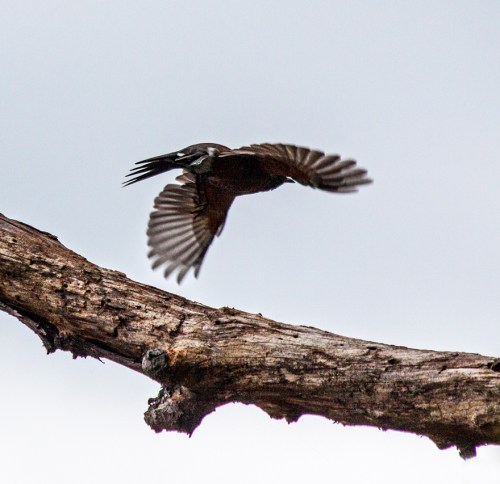 unknown_takeoff_blog