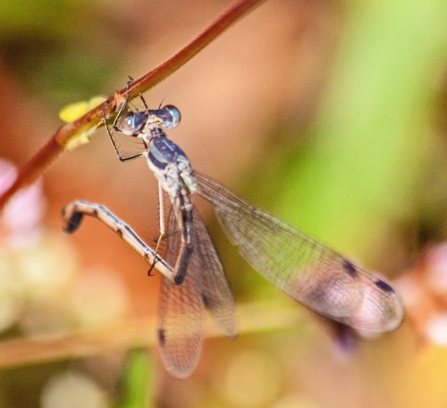 Finishing up the routine