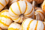 pumpkin_striped_blog