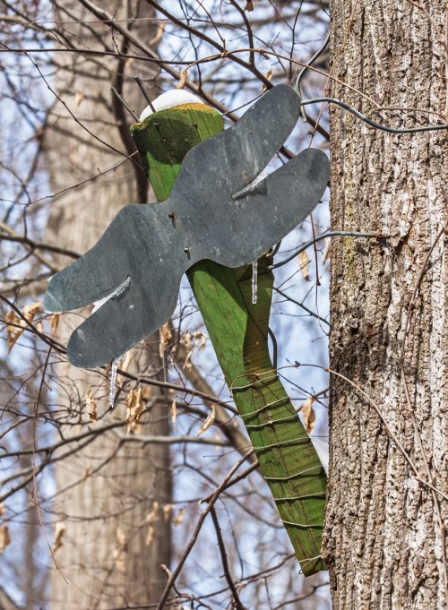 dragonfly_winter_blog