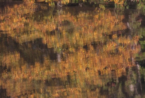 Impressionist autumn