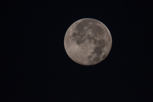 Full moon in the night sky