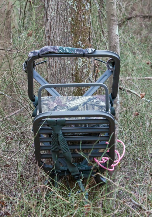 Unoccupied tree stand #2