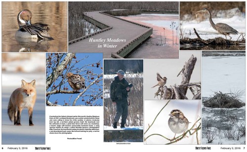 Michael Mt Vernon Voice