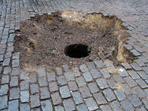 Brussels Christmas tree