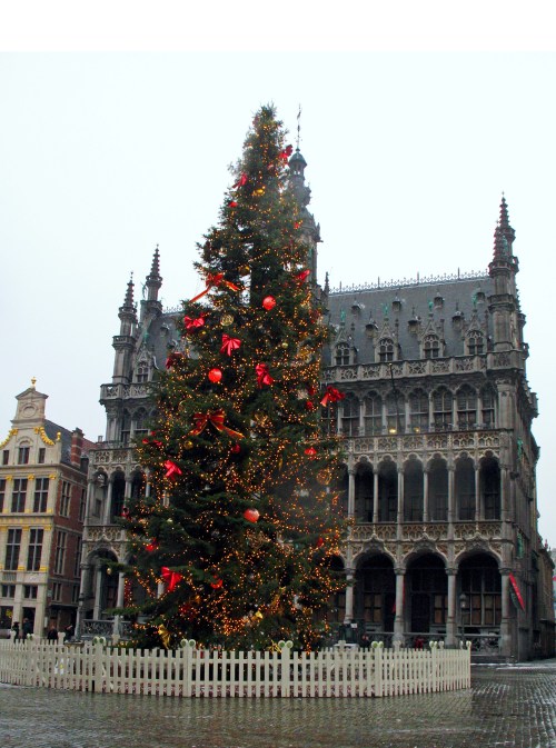 Brussels Christmas tree 