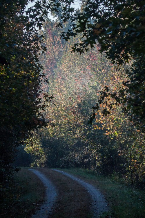 early autumn morning