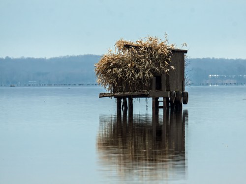duck blind