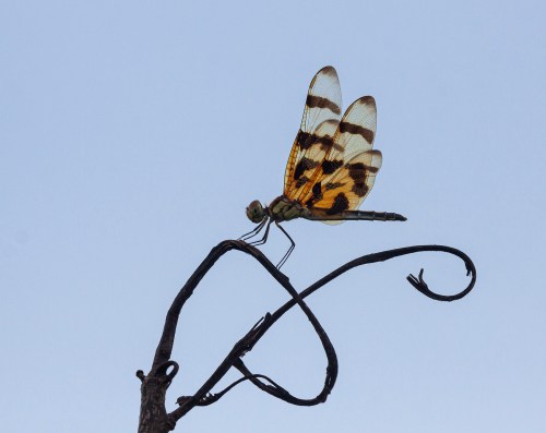 Halloween Pennant