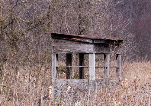 Accotink Bay Wildlife Refuge
