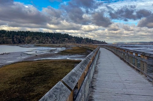 Nisqually National Wildlife Refuge