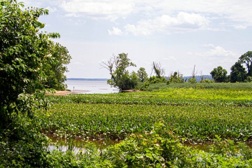 Occoquan Bay National Wildlife Refuge