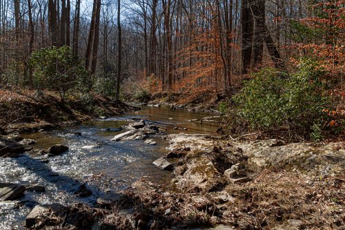 Quantico Creek